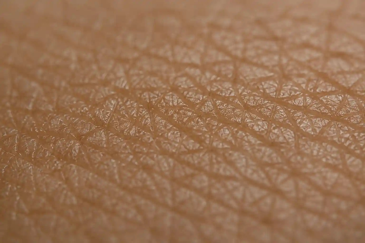 Skin Barrier Repair: How to Restore, Protect & Strengthen a Damaged Skin Barrier