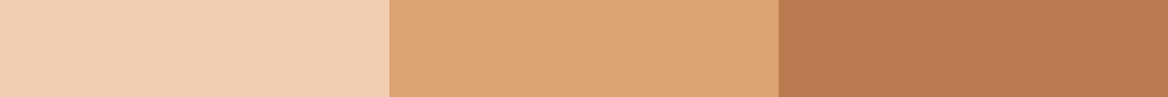 Skinara AgeScreen natural sunscreen cream semi-sheer in 4 shades: Clear, Honey Almond, Mocca and Espresso